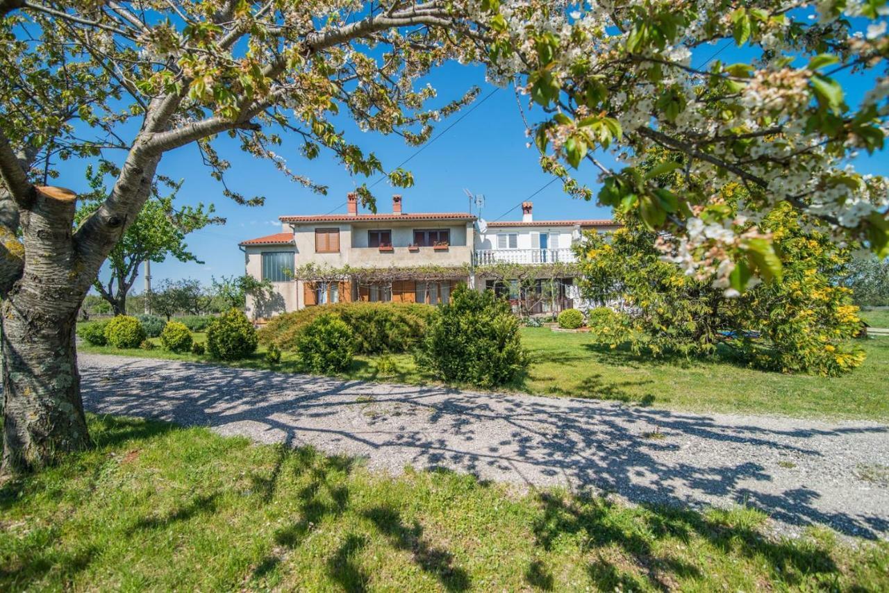 Apartment With Terrace In Filipana Marcana Экстерьер фото